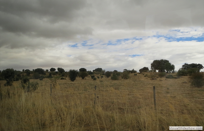 ...nach Pedraza...