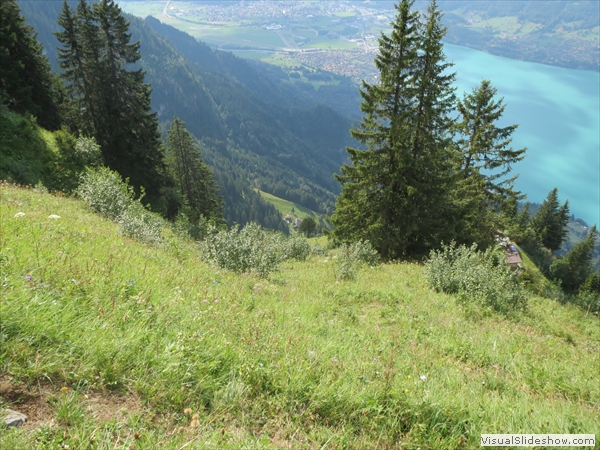 ...oben im Gurgel, Blick zurück auf die Morgeweid, unten die Alpiglen-Hütte