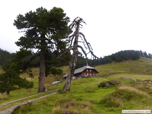 ...die Fürstein Alp