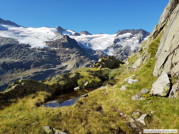Trifthorn, Grienbärgligletscher, Ewigschneehorn
