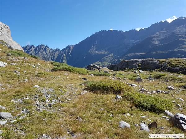 Gletschervorgelände, die Vegetation ergreift Platz...