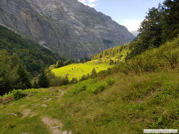 Blick auf Rohrmatten