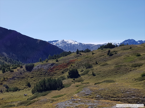 ...bald oben...Blick zurück...Monte Forcola...