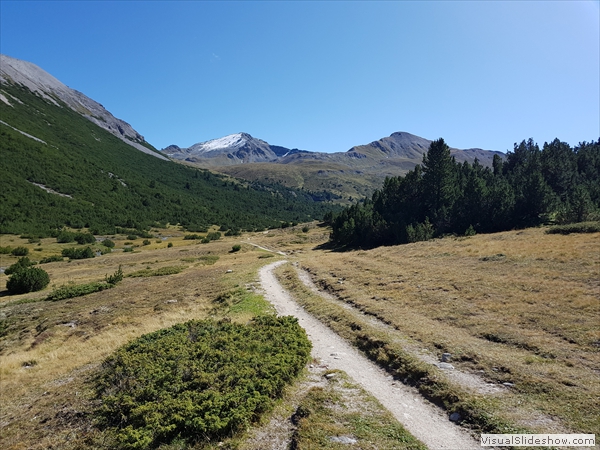 Blick zurück...Piz Terza, Muntet