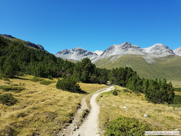 ...hinten, weiss, ev. Piz Tavrü...