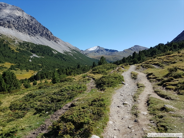 nochmals Blick zurück, Piz Terza, Muntet